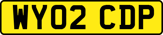WY02CDP