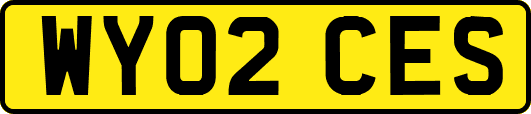 WY02CES