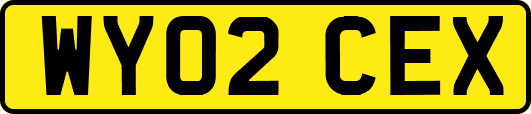 WY02CEX