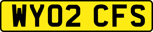 WY02CFS