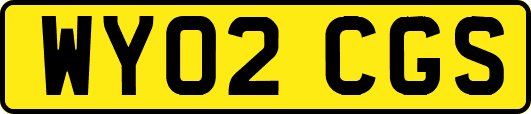 WY02CGS
