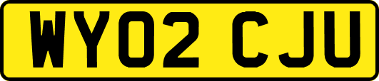 WY02CJU