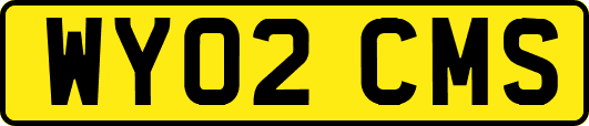 WY02CMS