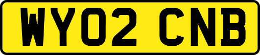 WY02CNB