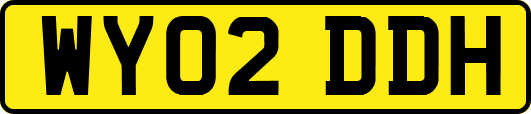 WY02DDH