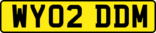 WY02DDM