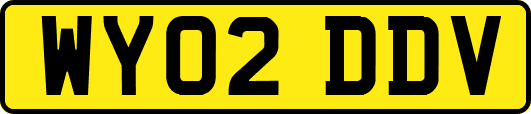 WY02DDV