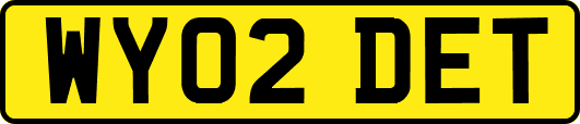 WY02DET