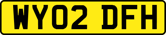 WY02DFH