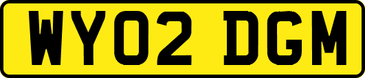 WY02DGM