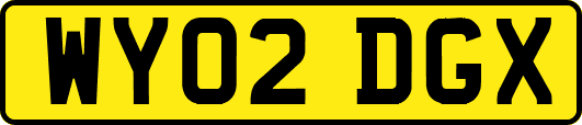 WY02DGX