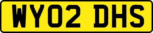 WY02DHS