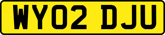 WY02DJU