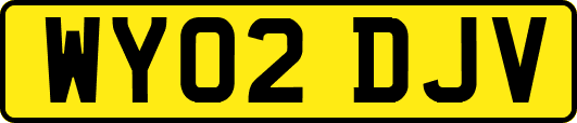 WY02DJV