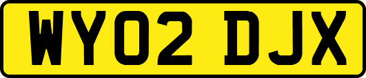 WY02DJX