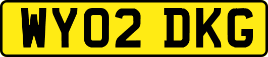 WY02DKG