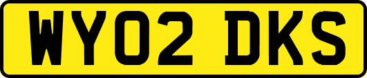 WY02DKS