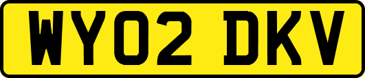 WY02DKV