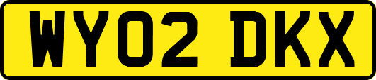 WY02DKX