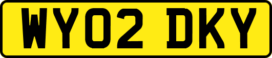WY02DKY