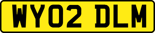WY02DLM