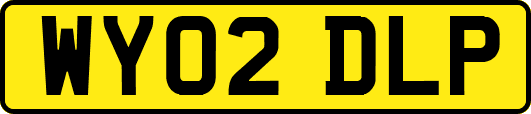 WY02DLP