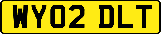 WY02DLT