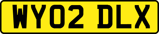 WY02DLX