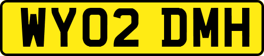 WY02DMH
