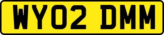 WY02DMM