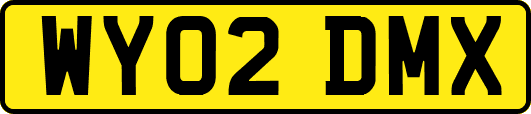 WY02DMX