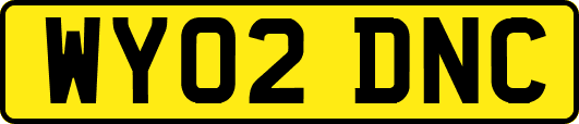 WY02DNC
