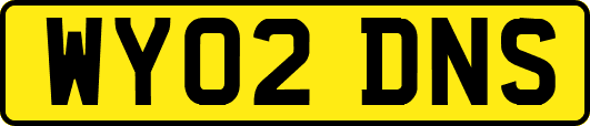 WY02DNS