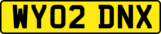 WY02DNX