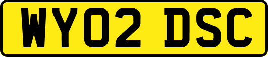 WY02DSC