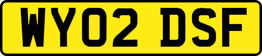 WY02DSF