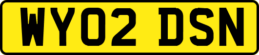 WY02DSN