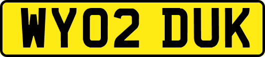 WY02DUK