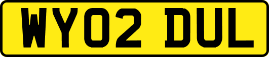 WY02DUL