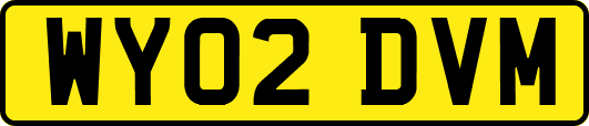 WY02DVM