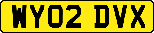 WY02DVX