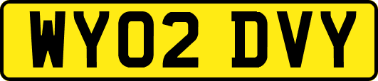 WY02DVY