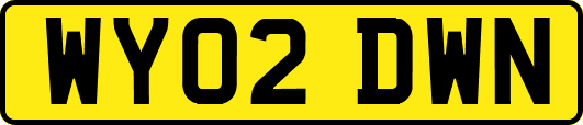 WY02DWN