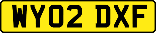 WY02DXF