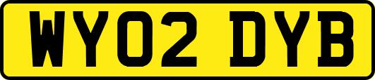 WY02DYB