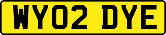 WY02DYE