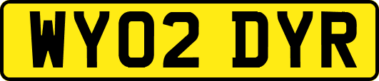 WY02DYR