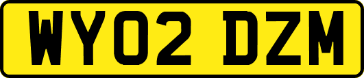 WY02DZM