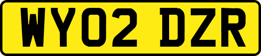 WY02DZR