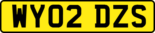 WY02DZS